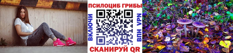 Псилоцибиновые грибы мицелий  закладка  Выборг 