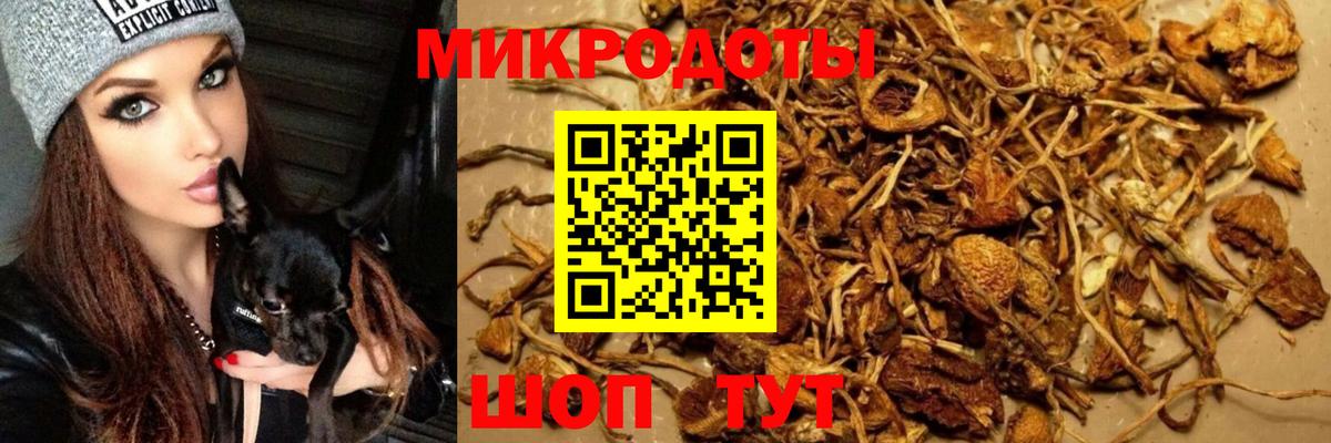 Галлюциногенные грибы мицелий Выборг