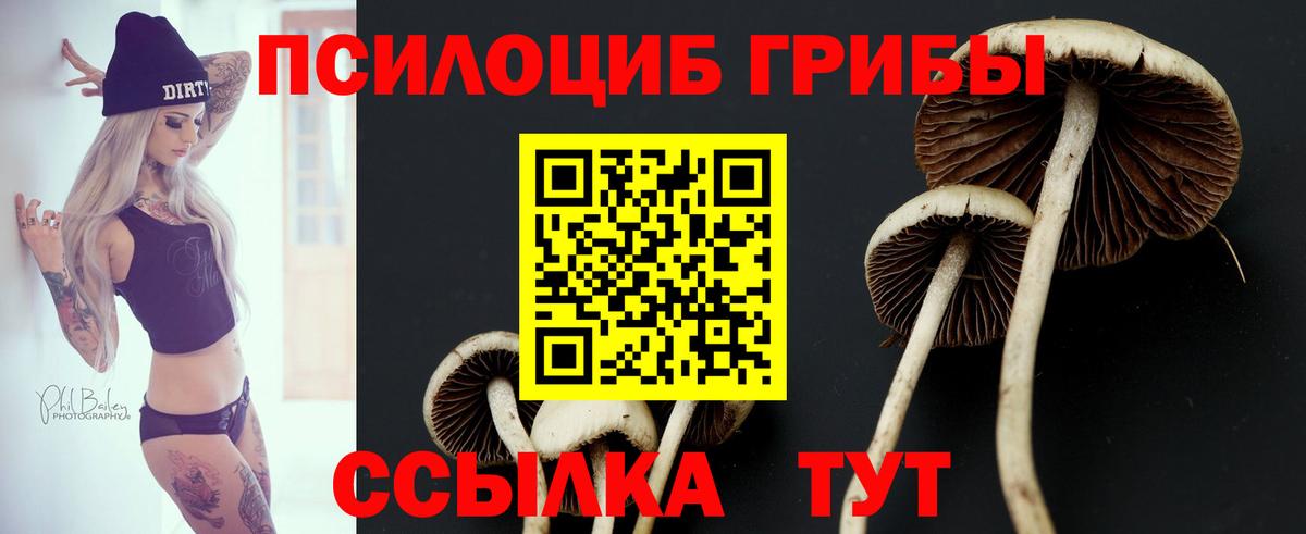 Псилоцибиновые грибы Cubensis  Псилоцибиновые грибы Psilocybe  Вход с VPN  Выборг 